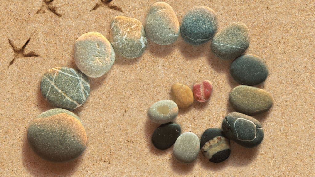 Activity feature image