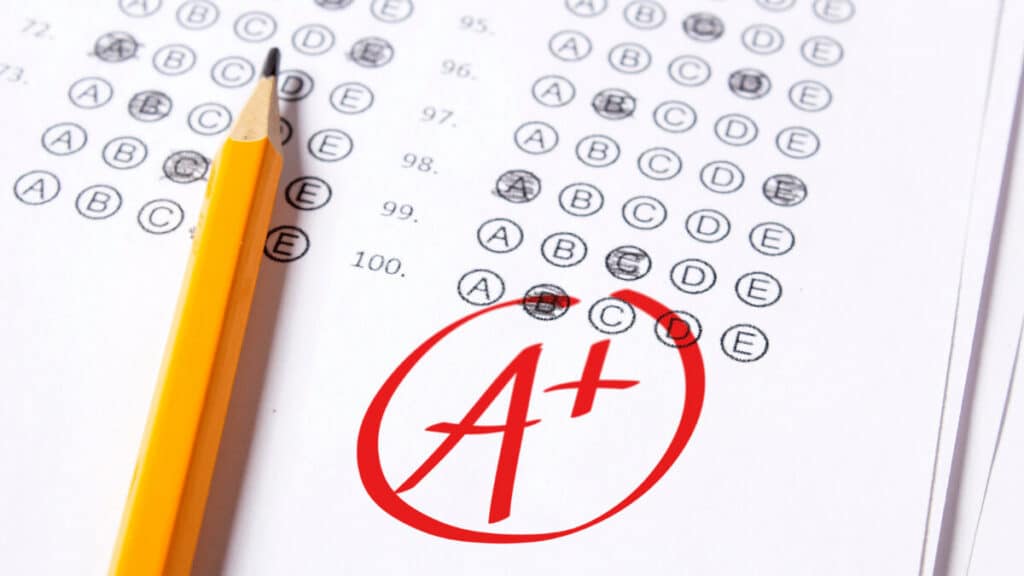 Activity feature image