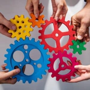 Branch feature image