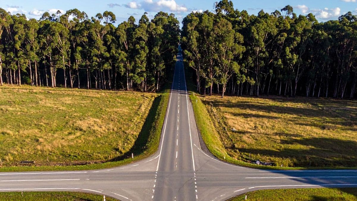 Crossroads leading into woods