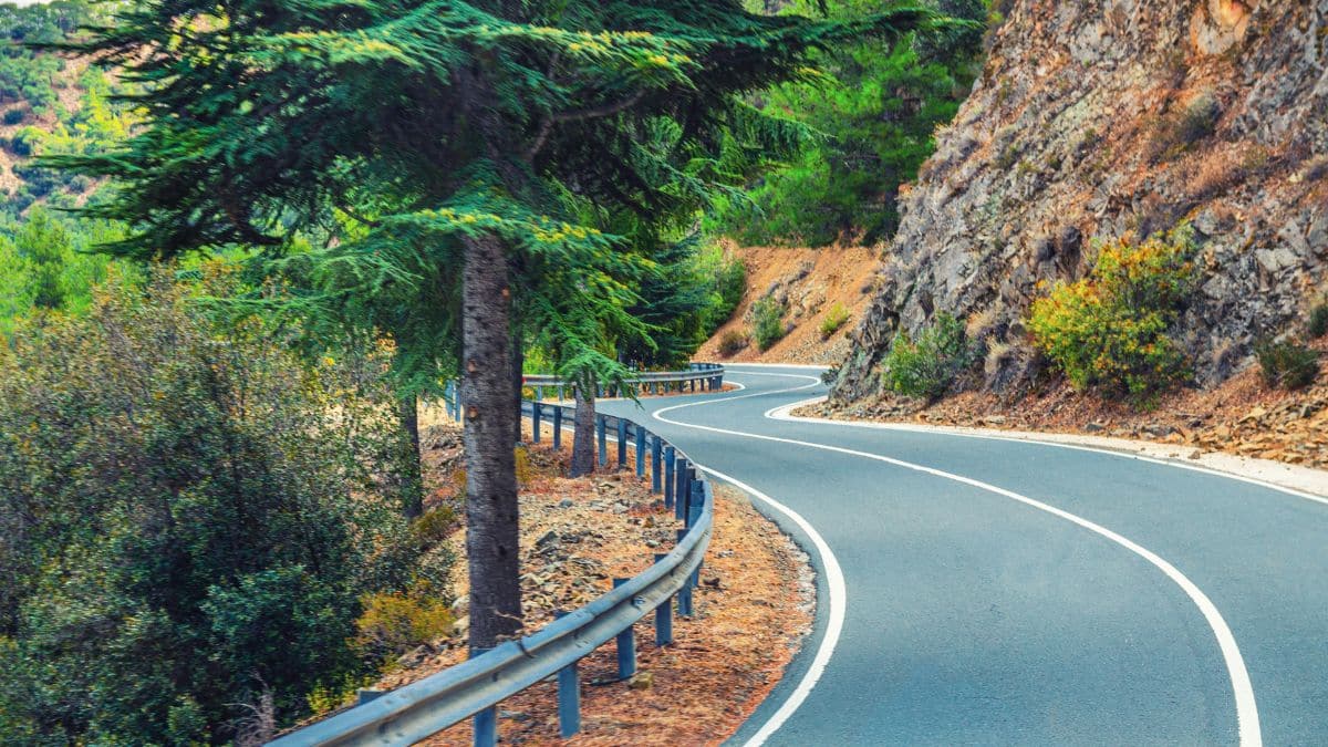 Feature image showing a winding mountain road with a metal guardrail curves through pine trees, with a rocky cliff face on the right side.