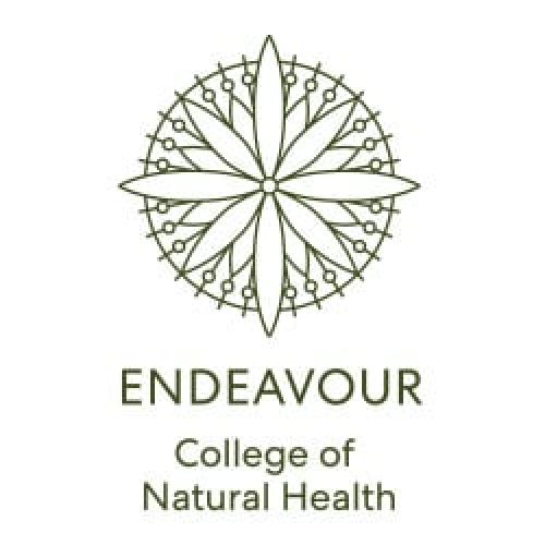 Endeavour logo 1