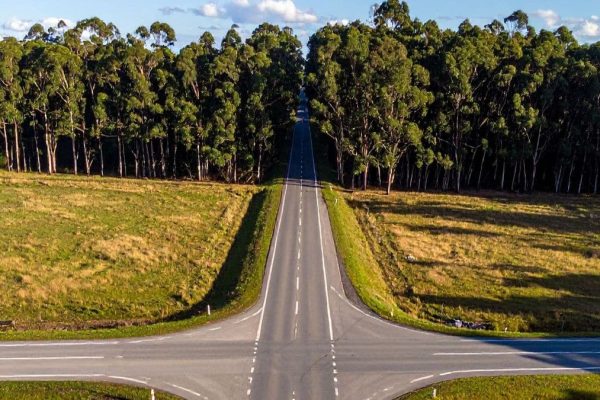 Crossroads leading into woods